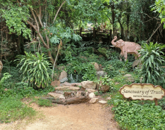 The Sanctuary Of Truth Mini Zoo